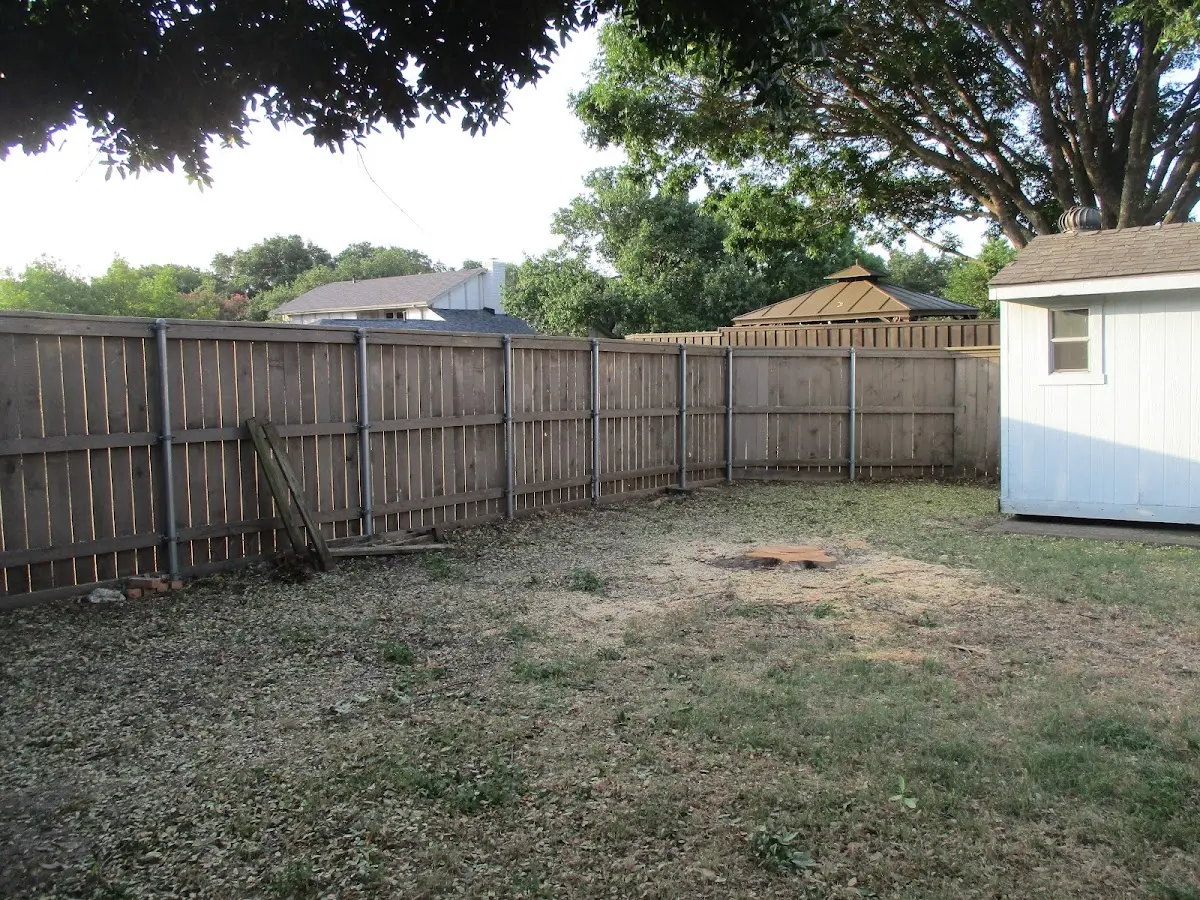 Cleared yard after professional tree removal in Tripler Army Medical Center